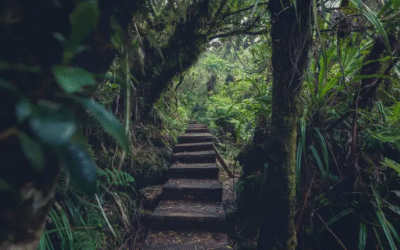 Week-end dans l&rsquo;Est : Itinéraire de 2Jours en Voiture pour Découvrir lesCascades