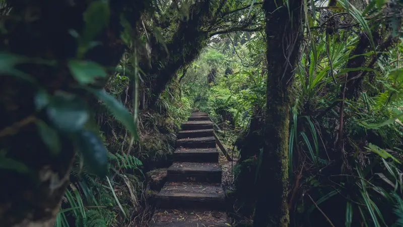 Week-end dans l&rsquo;Est : Itinéraire de 2Jours en Voiture pour Découvrir lesCascades